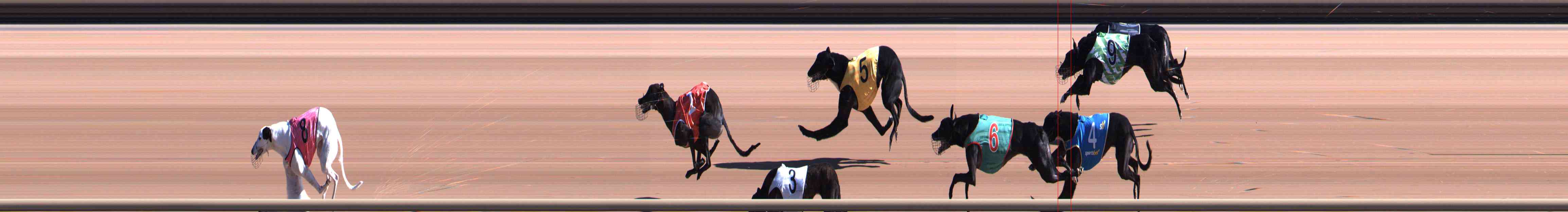 Photo finish for Healesville Race 3