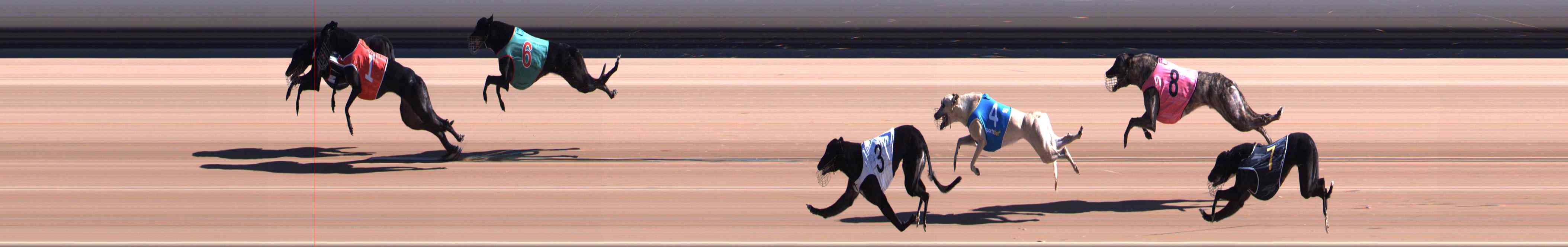 Photo finish for Healesville Race 4