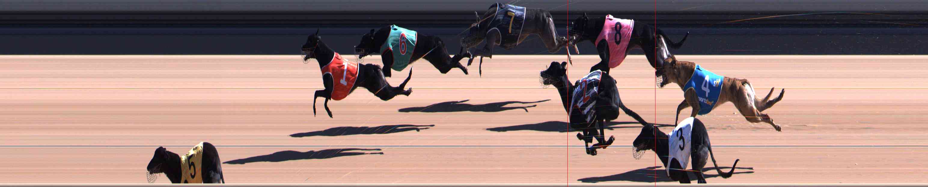 Photo finish for Healesville Race 6