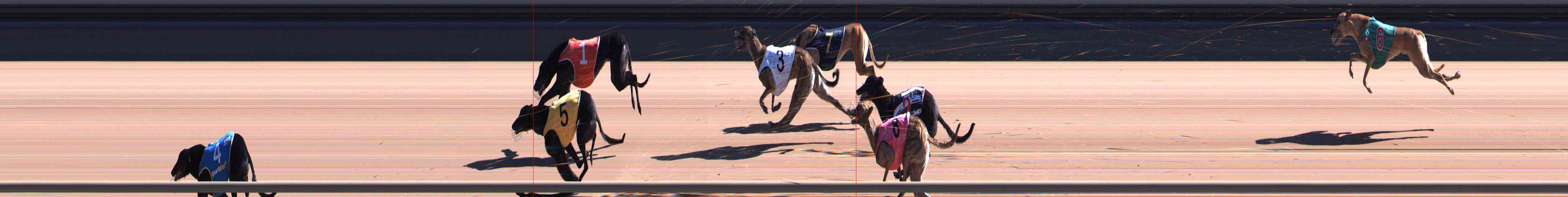 Photo finish for Healesville Race 7