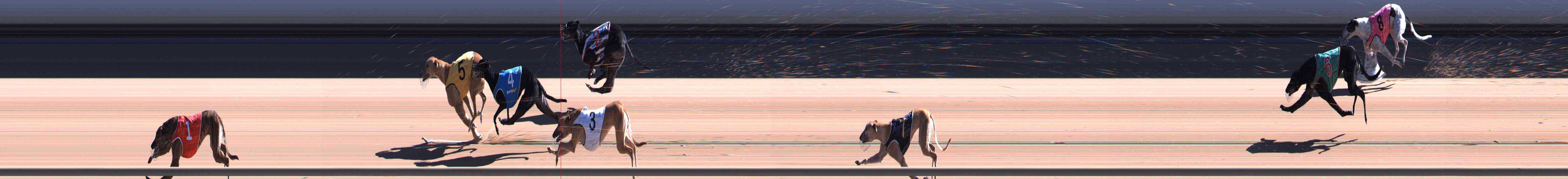 Photo finish for Healesville Race 8