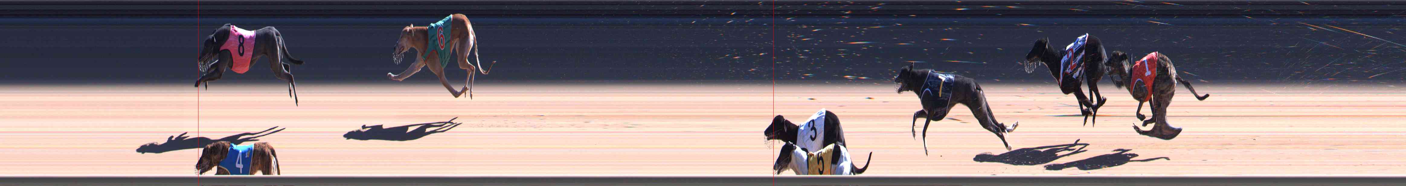 Photo finish for Healesville Race 9