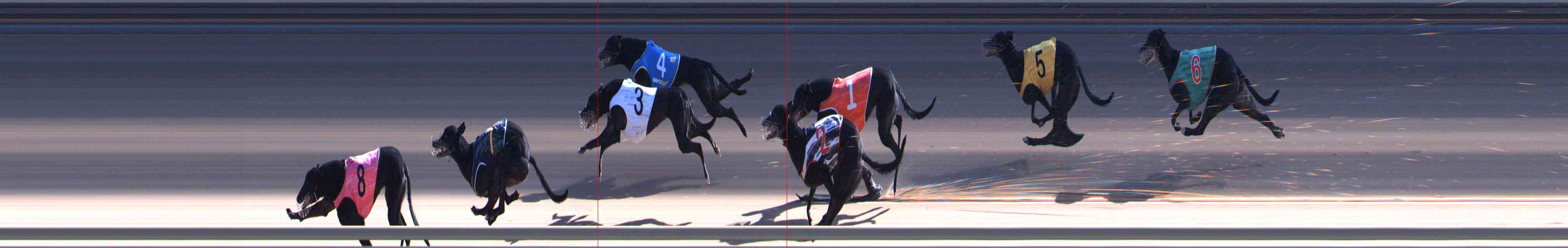 Photo finish for Healesville Race 10