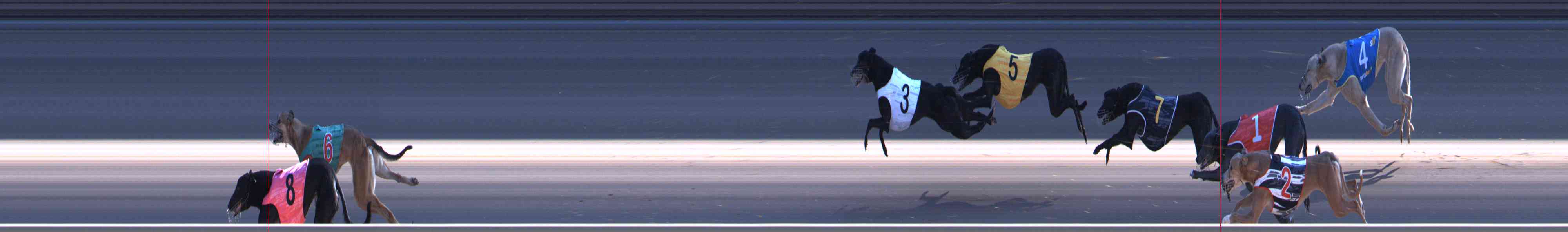 Photo finish for Healesville Race 11