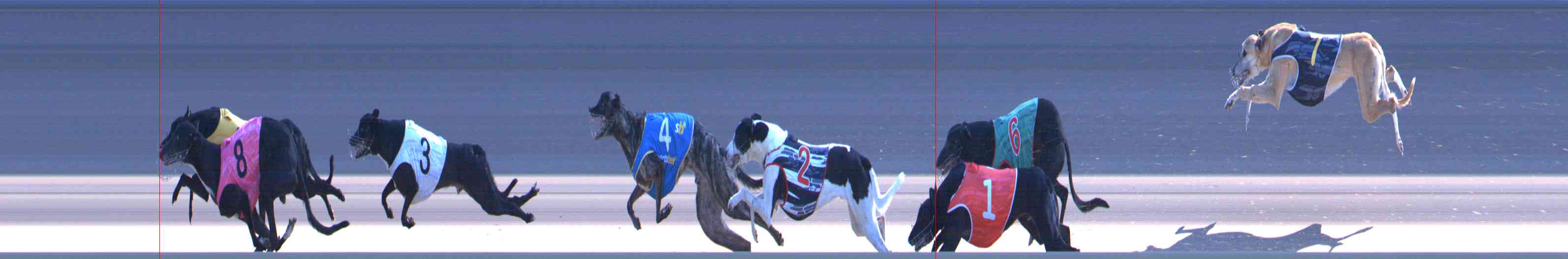 Photo finish for Healesville Race 12