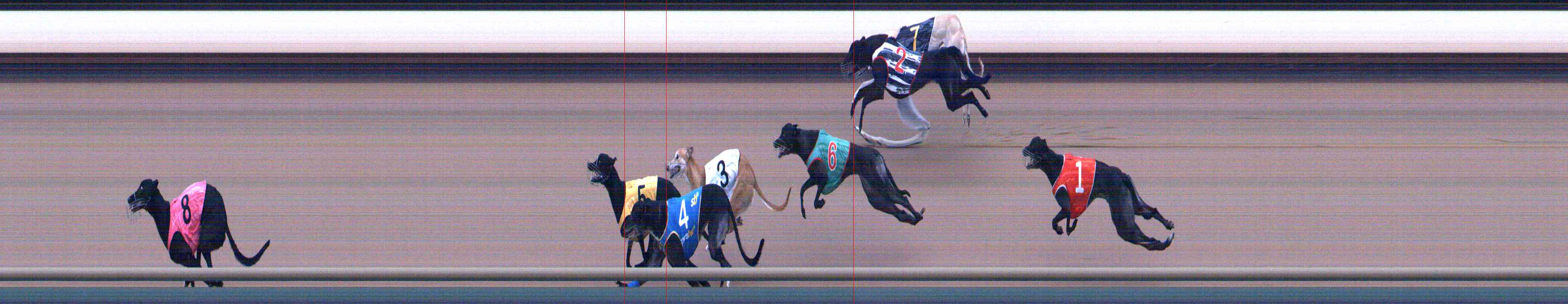 Photo finish for Healesville Race 8