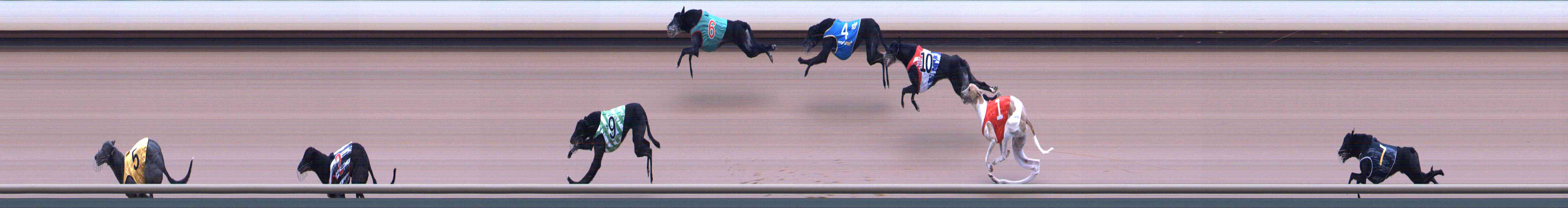 Photo finish for Healesville Race 9