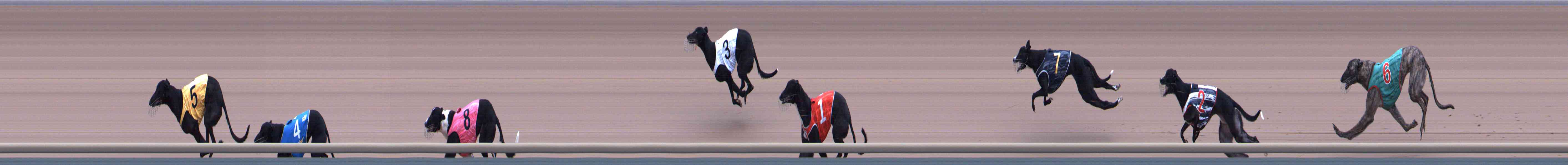 Photo finish for Healesville Race 10