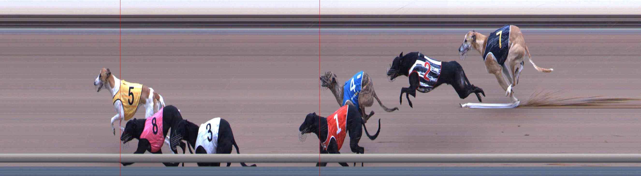 Photo finish for Healesville Race 11