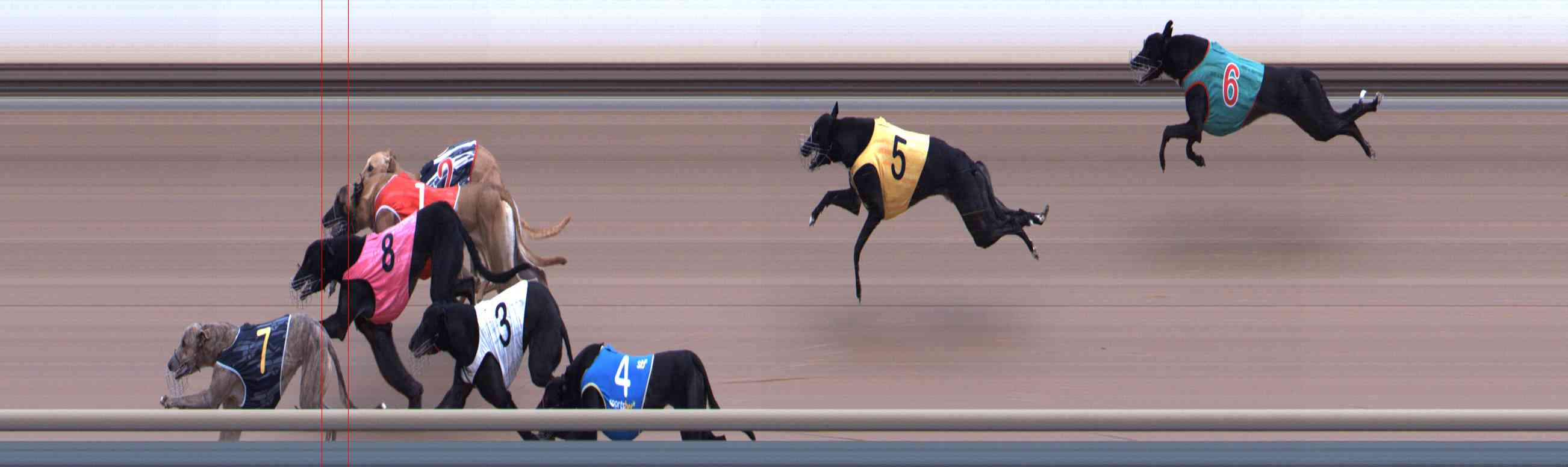 Photo finish for Healesville Race 2