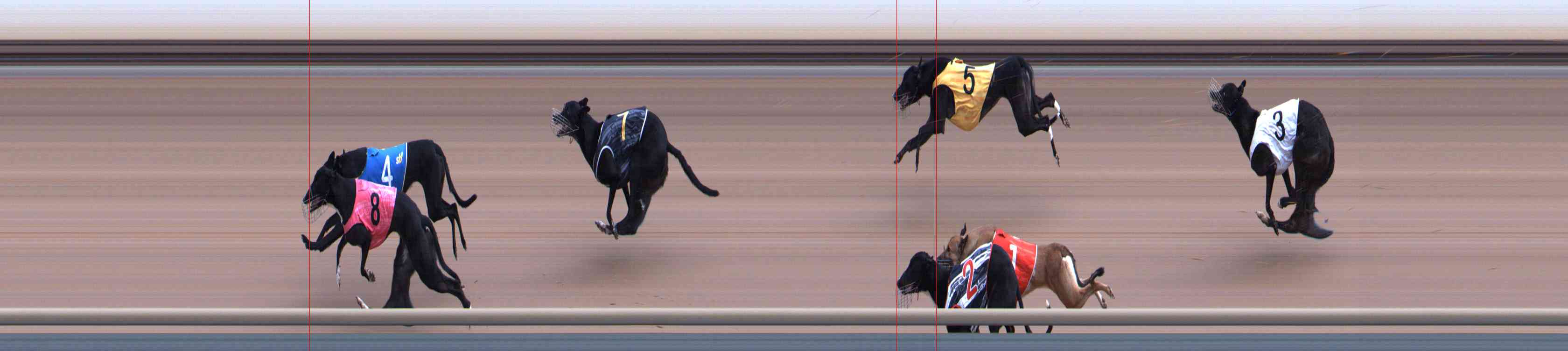 Photo finish for Healesville Race 3