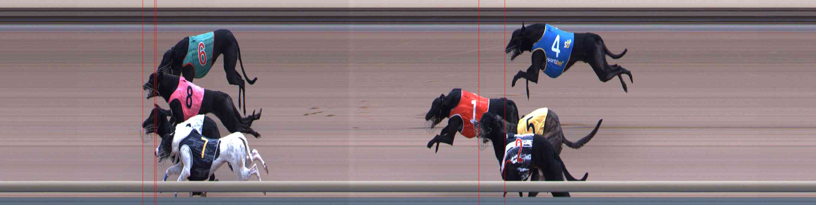 Photo finish for Healesville Race 4