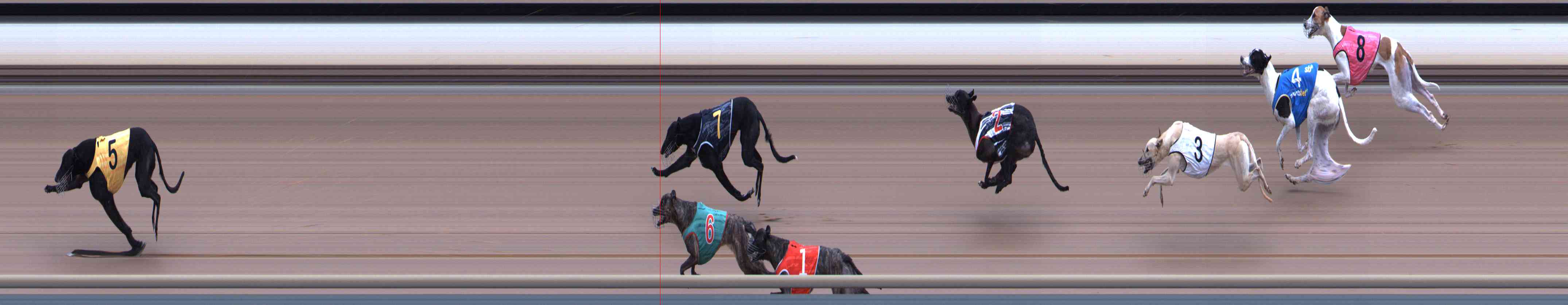 Photo finish for Healesville Race 5