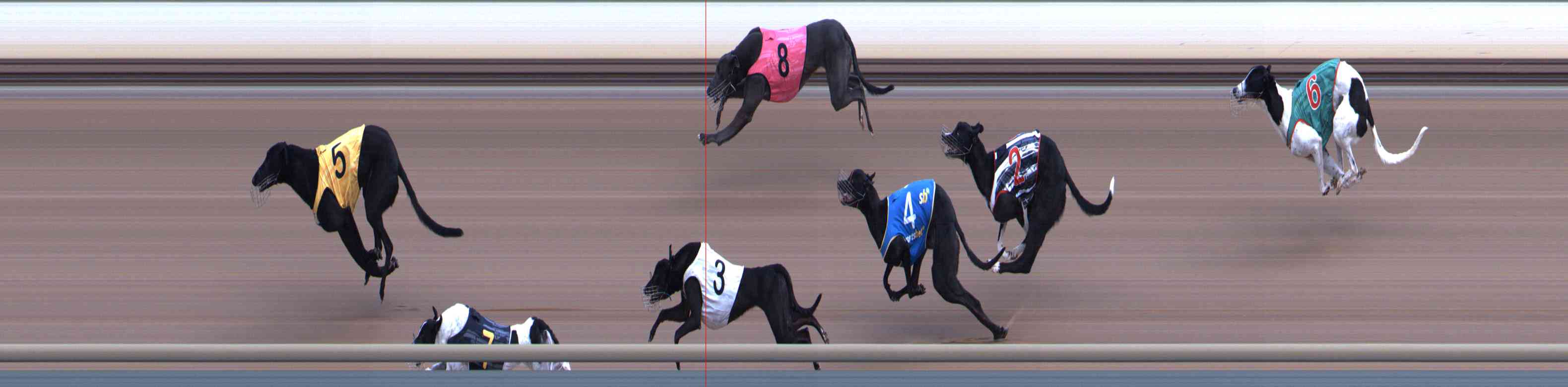 Photo finish for Healesville Race 6