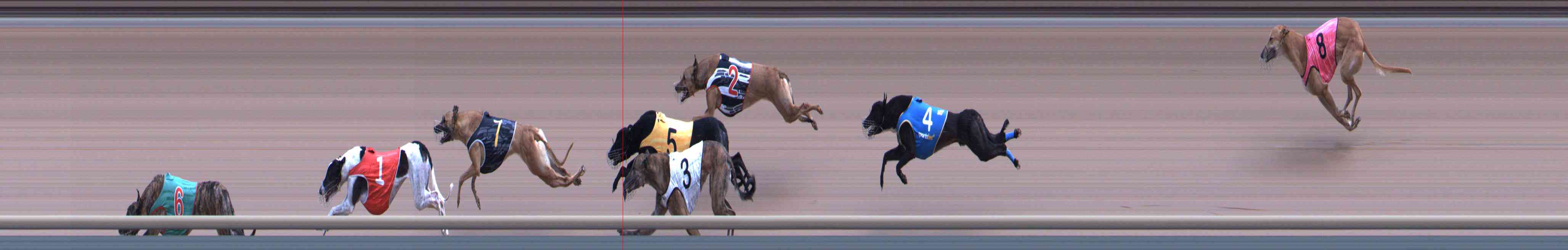 Photo finish for Healesville Race 7