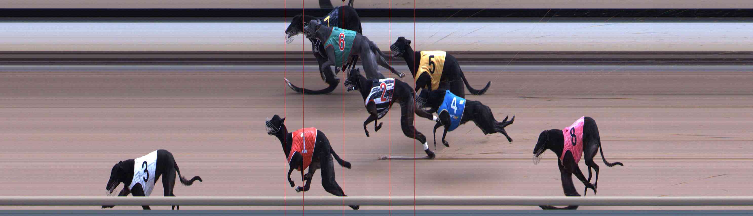 Photo finish for Healesville Race 8
