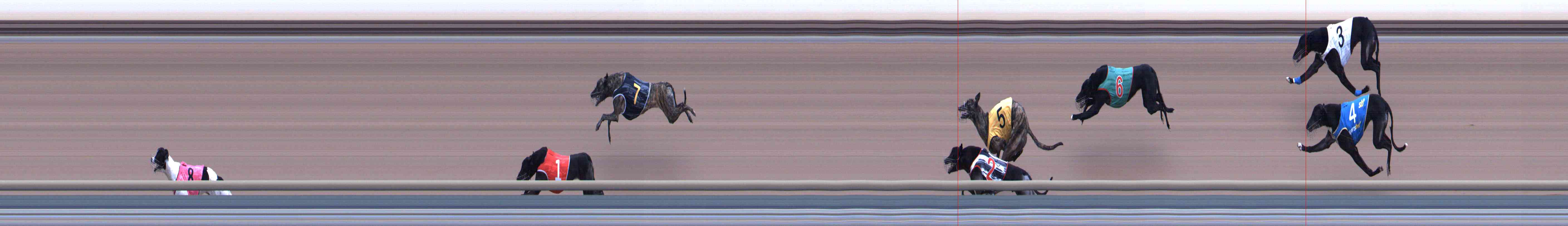 Photo finish for Healesville Race 9