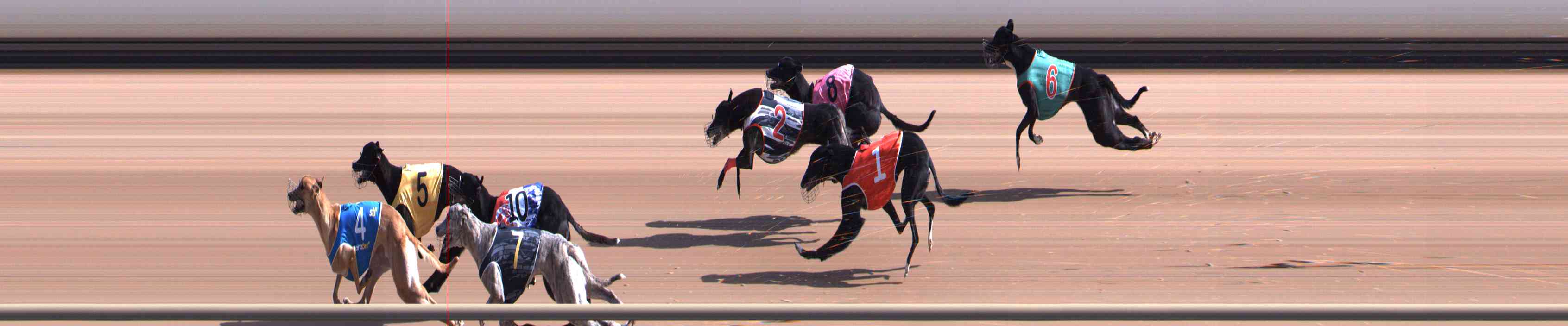 Photo finish for Healesville Race 2