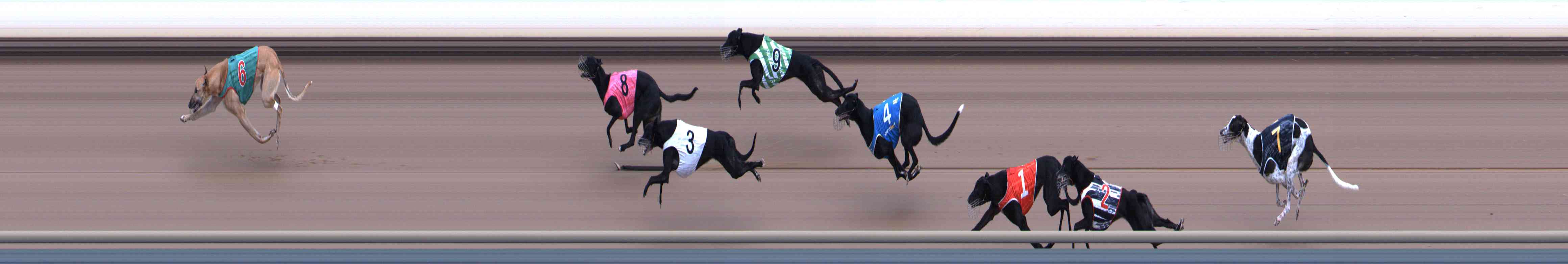 Photo finish for Healesville Race 3