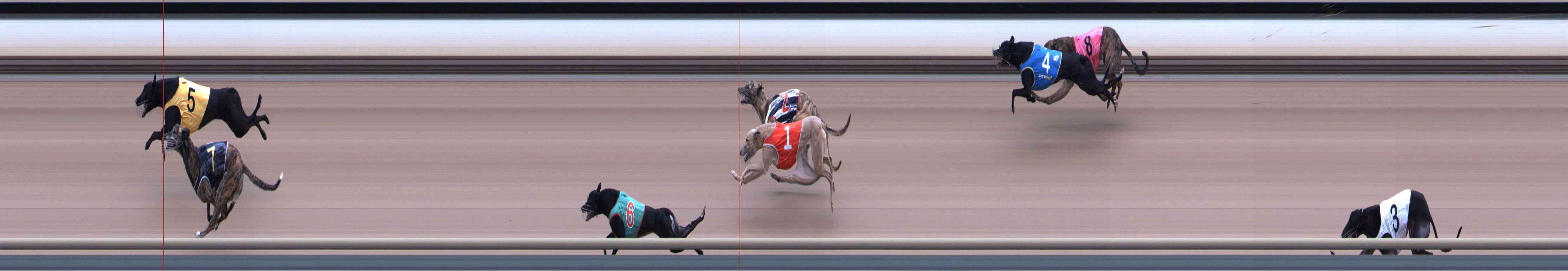 Photo finish for Healesville Race 5