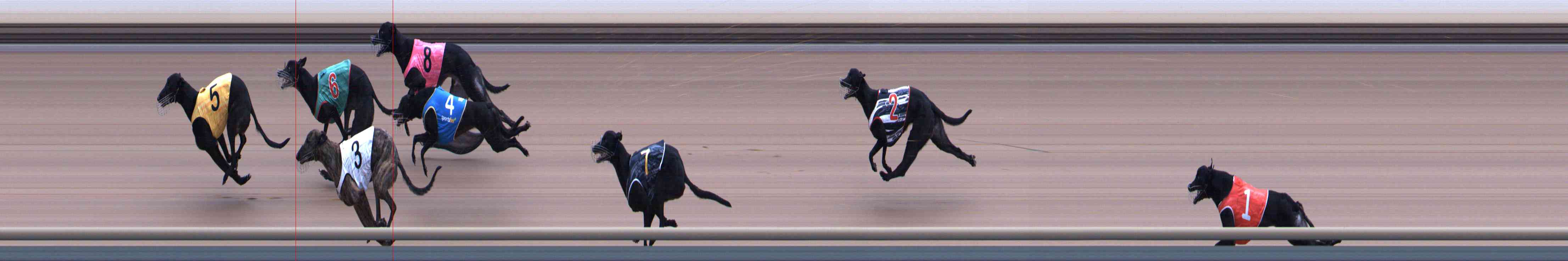 Photo finish for Healesville Race 6