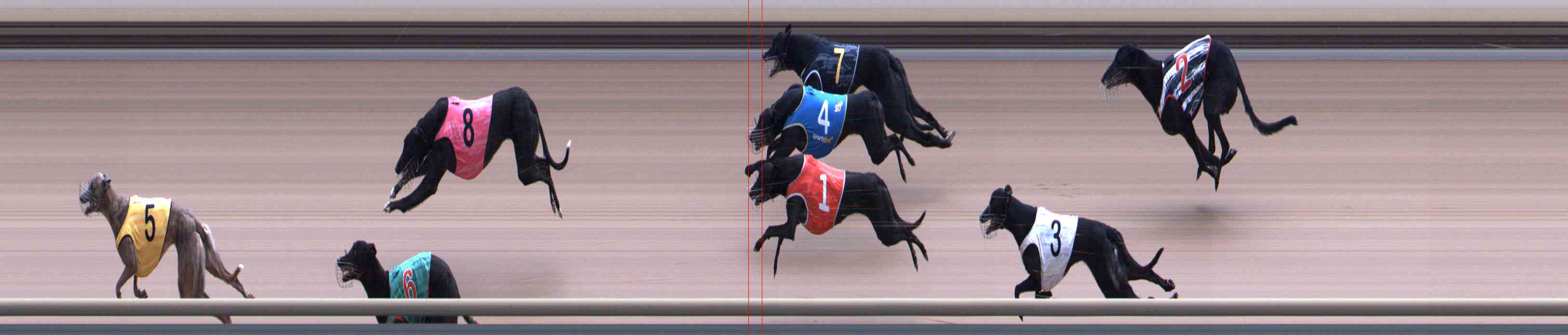 Photo finish for Healesville Race 7