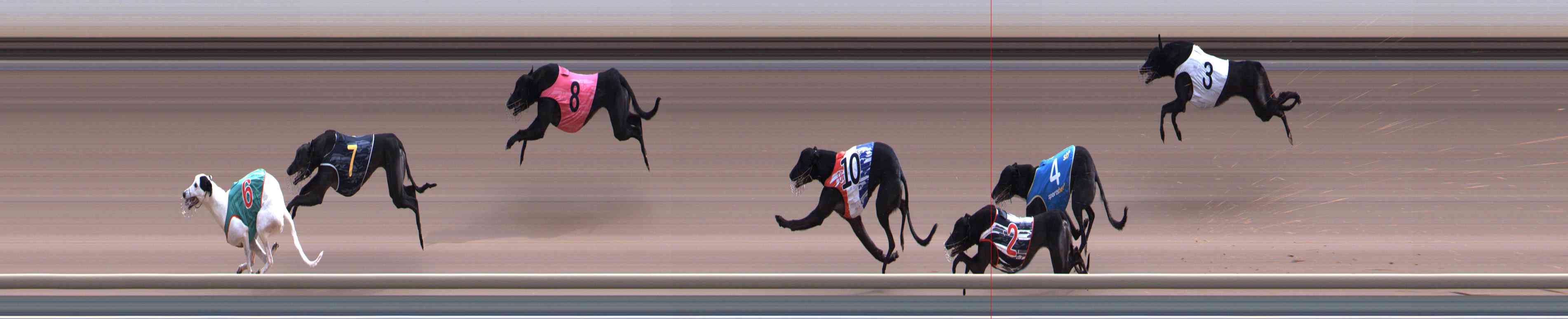 Photo finish for Healesville Race 9
