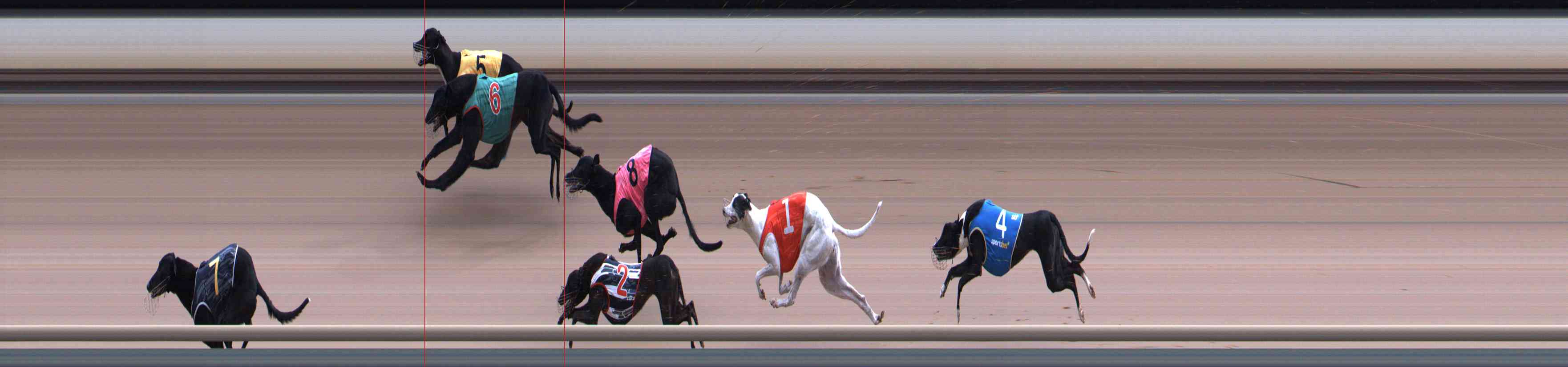 Photo finish for Healesville Race 10
