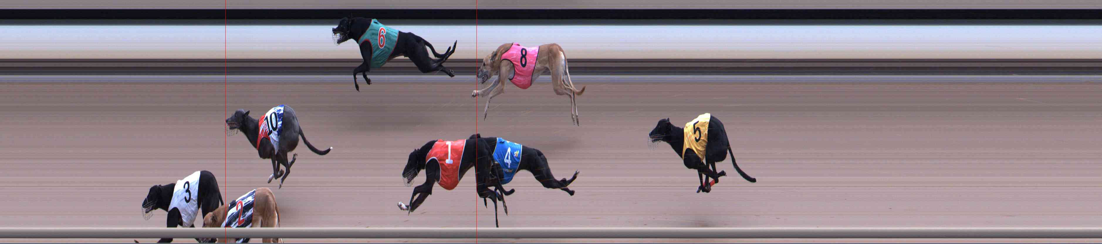 Photo finish for Healesville Race 11