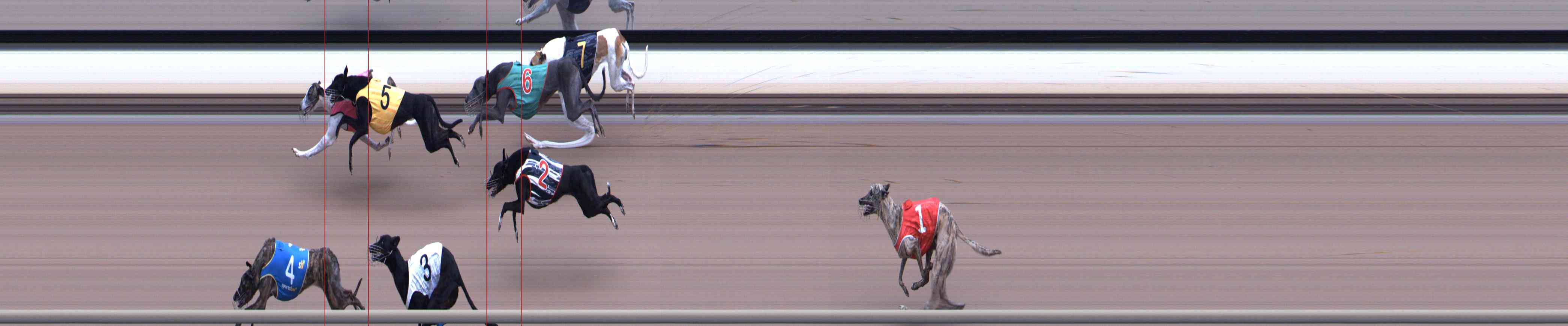 Photo finish for Healesville Race 12