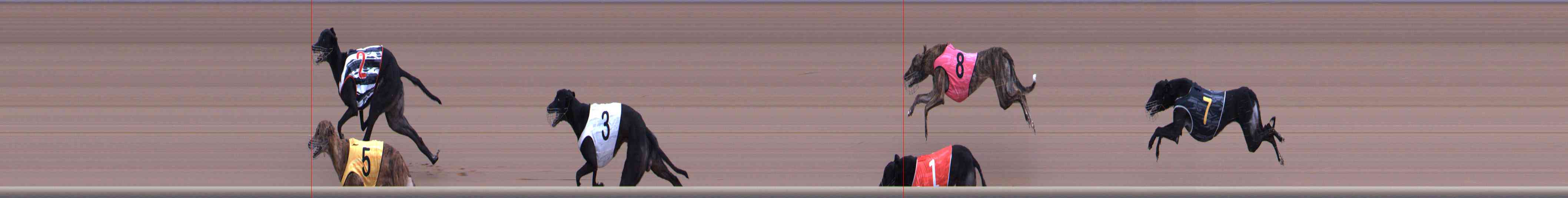 Photo finish for Healesville Race 3