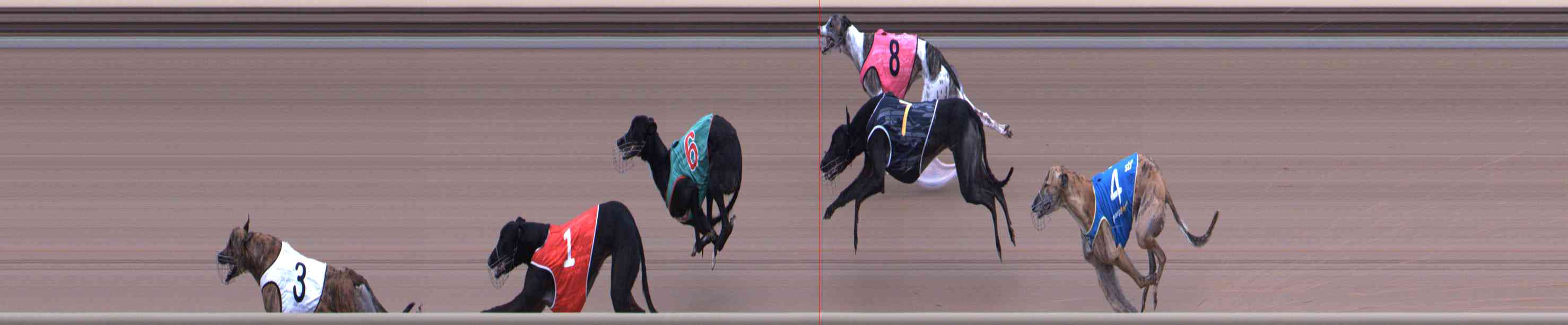 Photo finish for Healesville Race 4