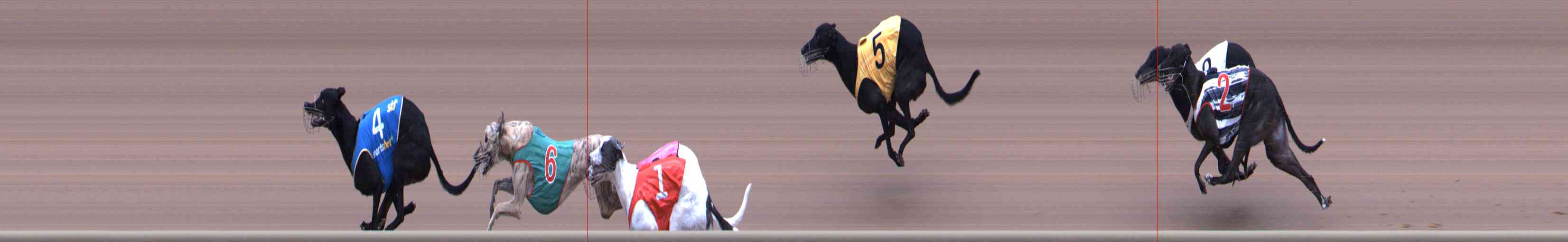 Photo finish for Healesville Race 5
