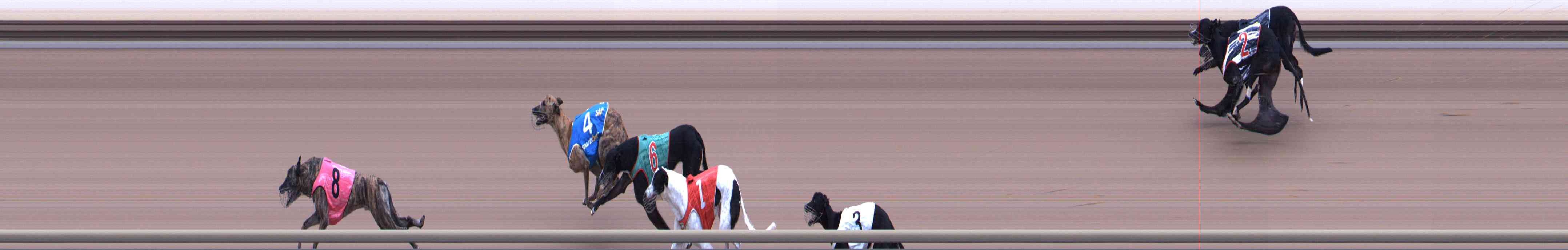 Photo finish for Healesville Race 6