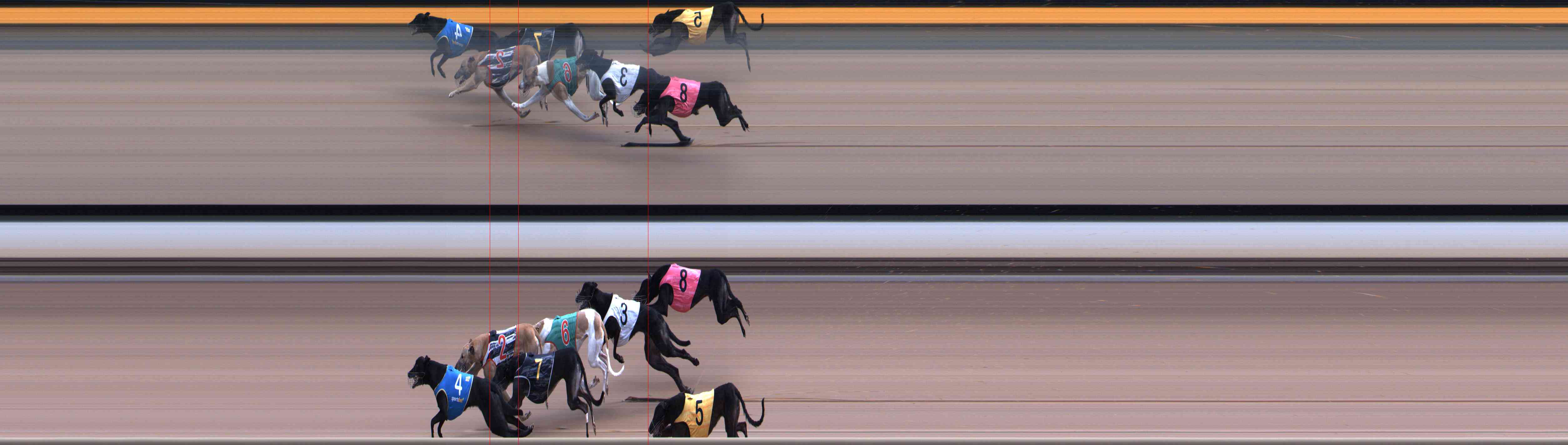 Photo finish for Healesville Race 7