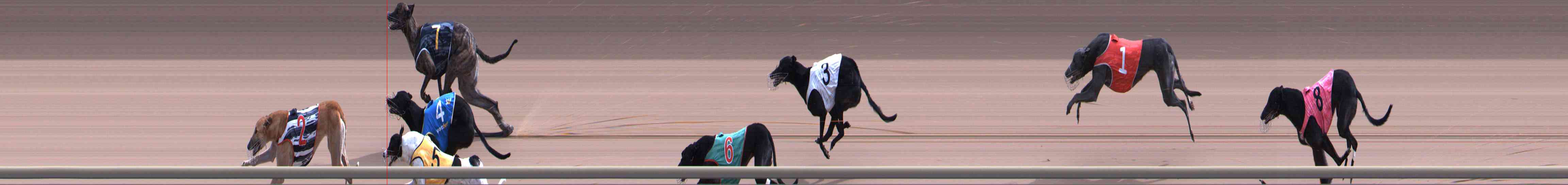 Photo finish for Healesville Race 8
