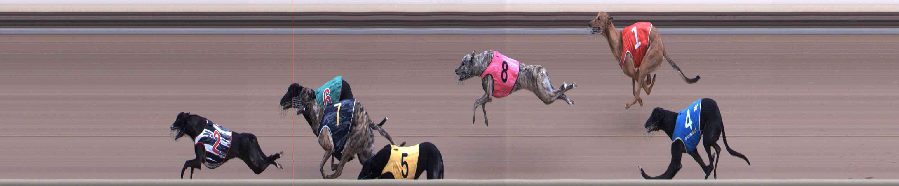 Photo finish for Healesville Race 9