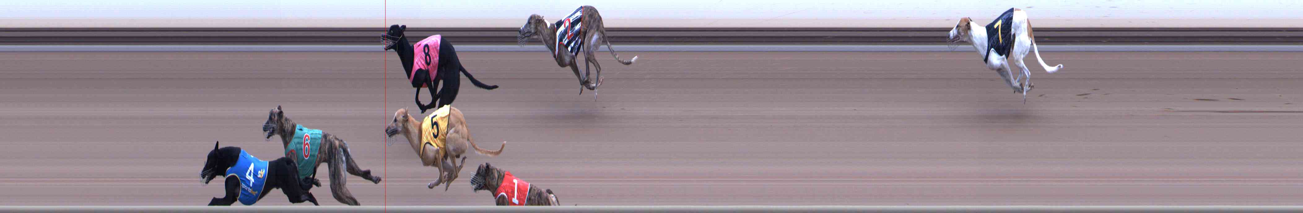 Photo finish for Healesville Race 10