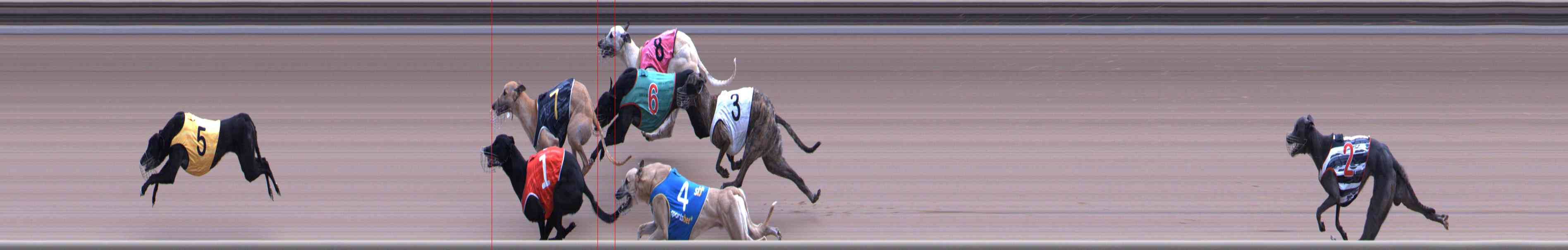 Photo finish for Healesville Race 11