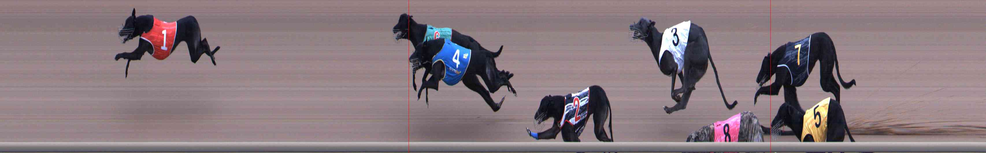 Photo finish for Healesville Race 12