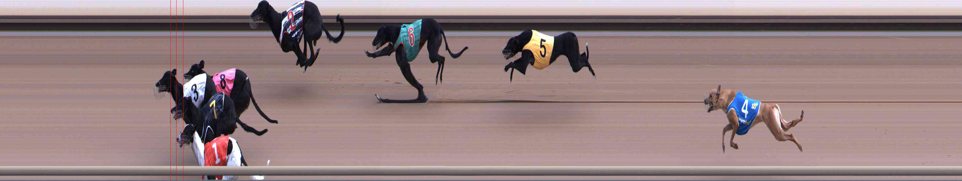Photo finish for Healesville Race 2