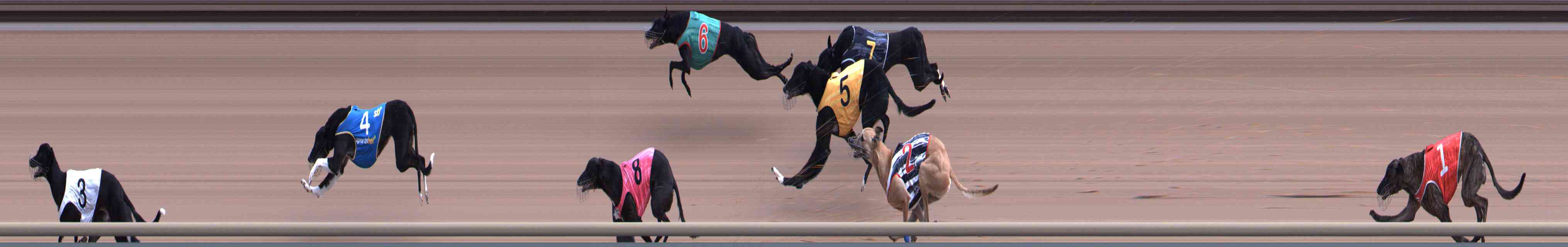 Photo finish for Healesville Race 3