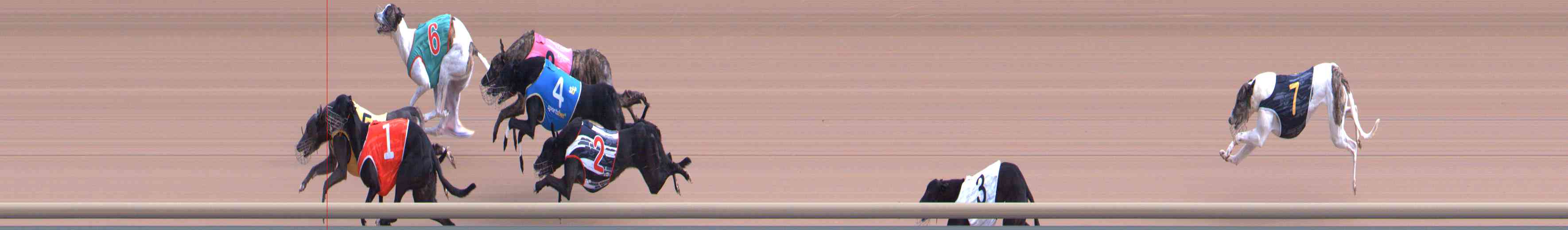 Photo finish for Healesville Race 4