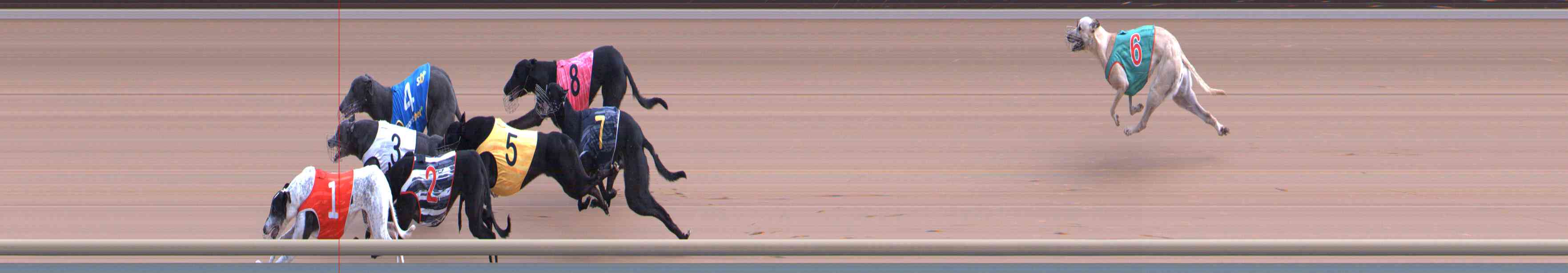Photo finish for Healesville Race 5