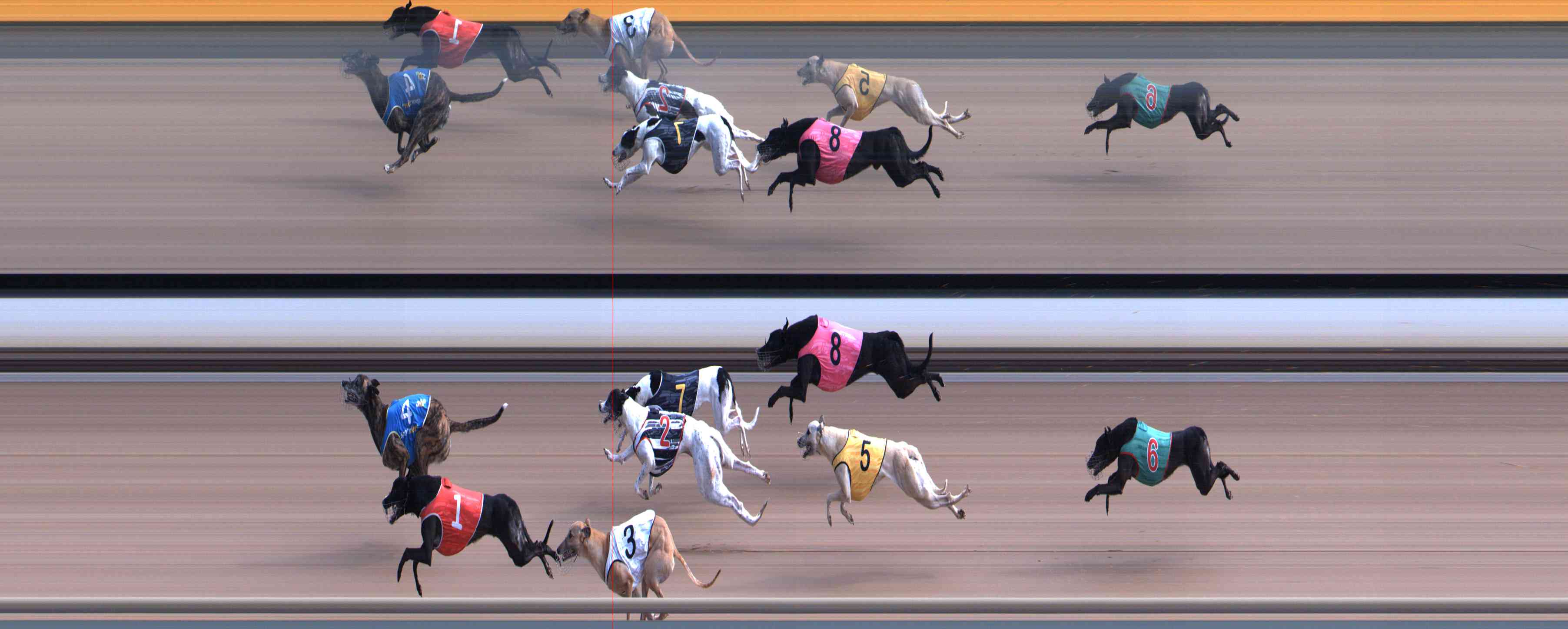 Photo finish for Healesville Race 6