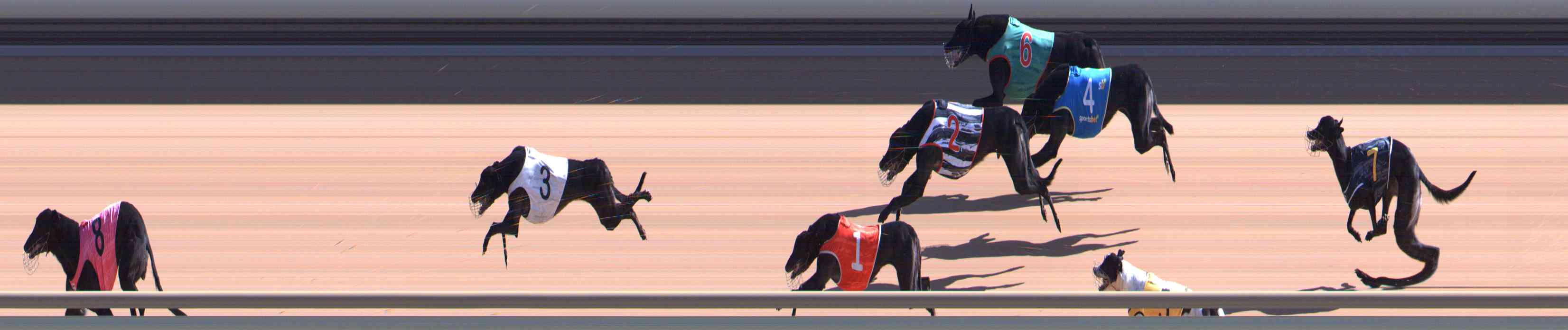 Photo finish for Healesville Race 7