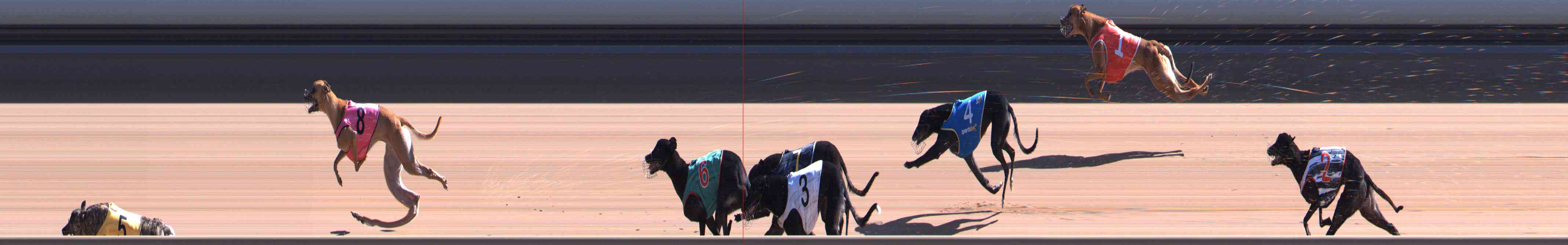Photo finish for Healesville Race 8