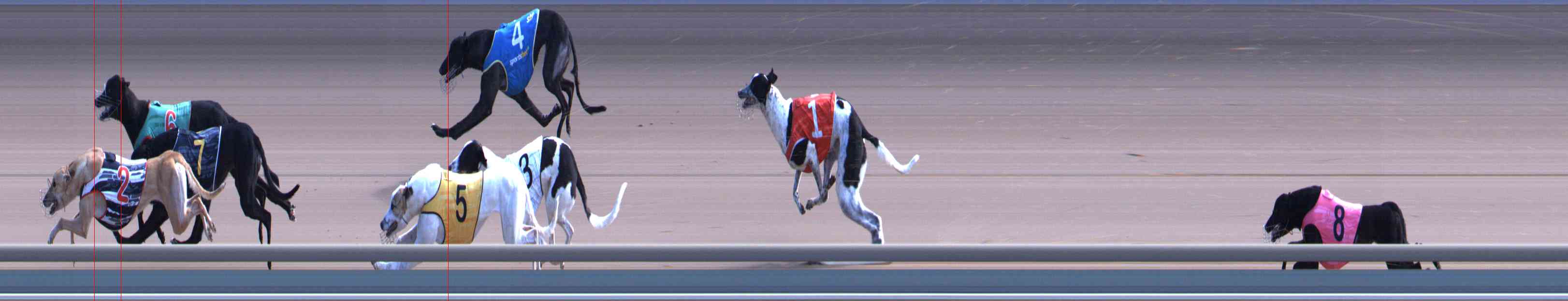 Photo finish for Healesville Race 9