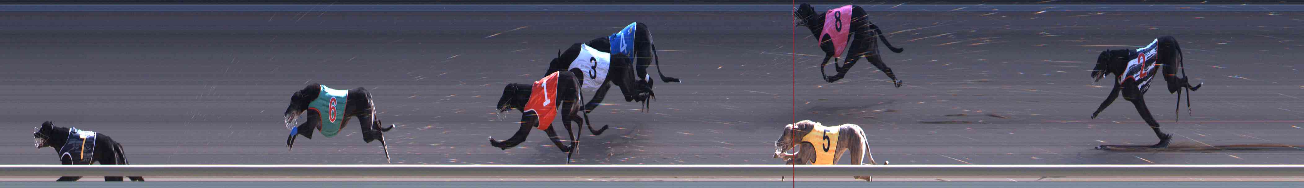 Photo finish for Healesville Race 10