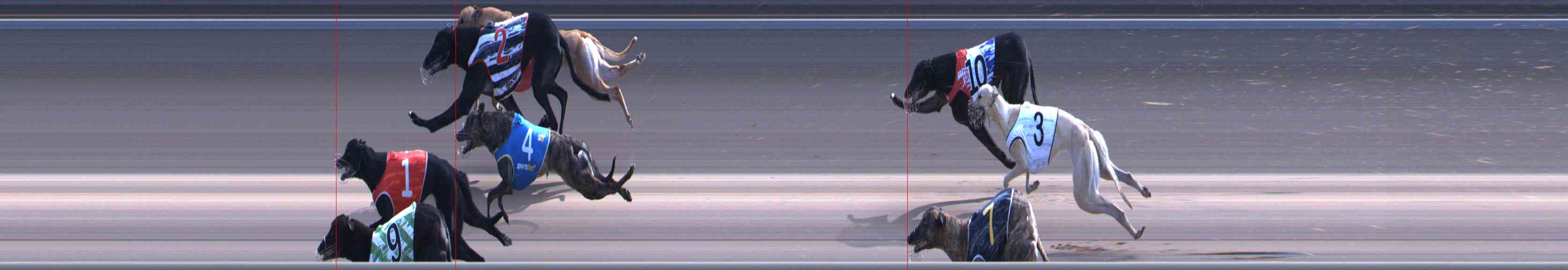 Photo finish for Healesville Race 11